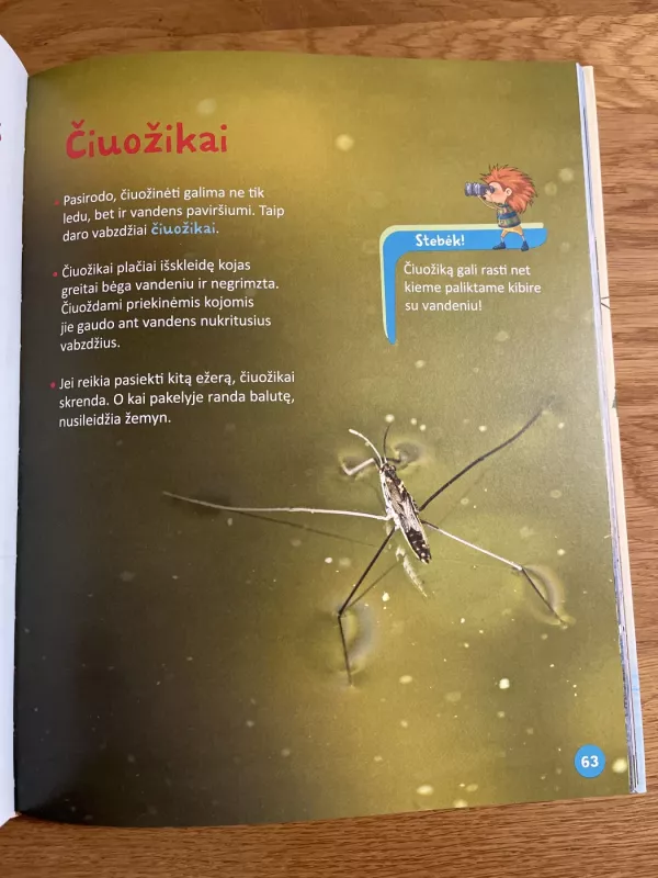 Eime i gamta! - Selemonas Paltanavičius, knyga 4