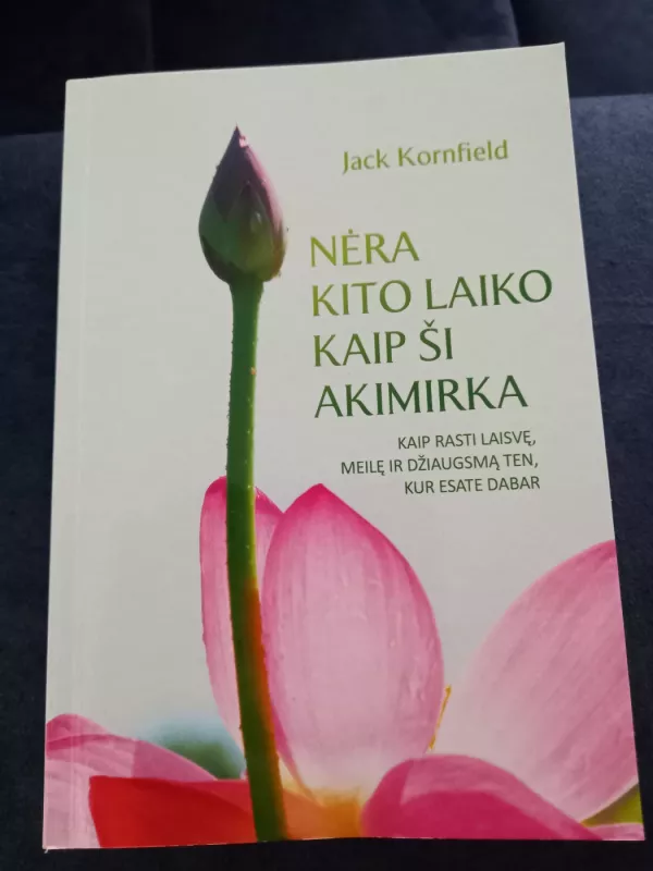 NĖRA KITO LAIKO KAIP ŠI AKIMIRKA: kaip rasti laisvę, meilę ir džiaugsmą ten, kur esate dabar - Jack Kornfield, knyga 2