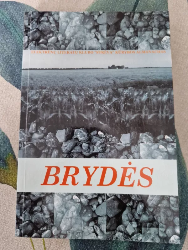 Brydės Elektrėnų literatų klubo Strėva kurybos almanachas - Autorių Kolektyvas, knyga 2
