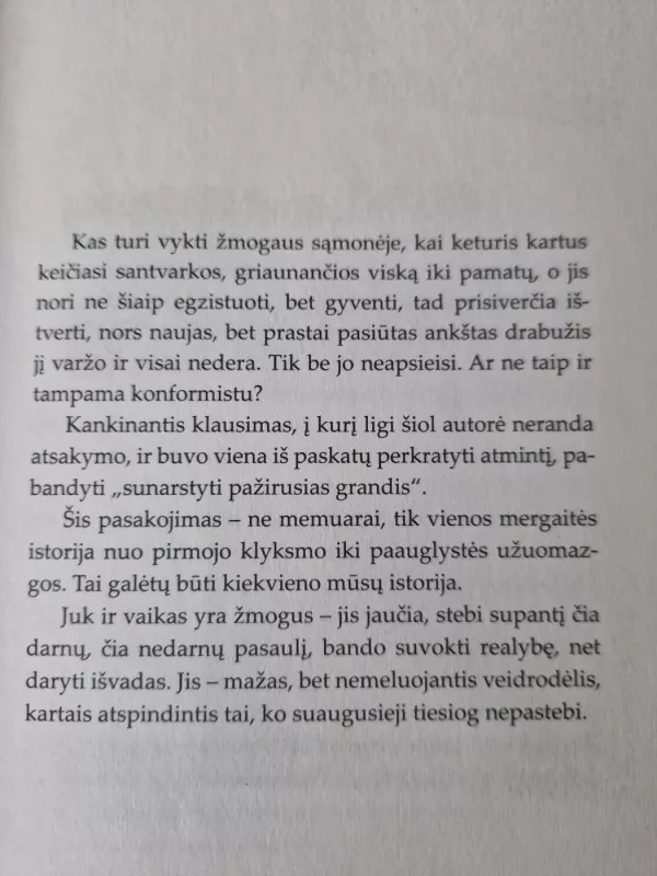 Pažirusios grandys, arba suki buruiki - Rytė Jankauskaitė, knyga 6