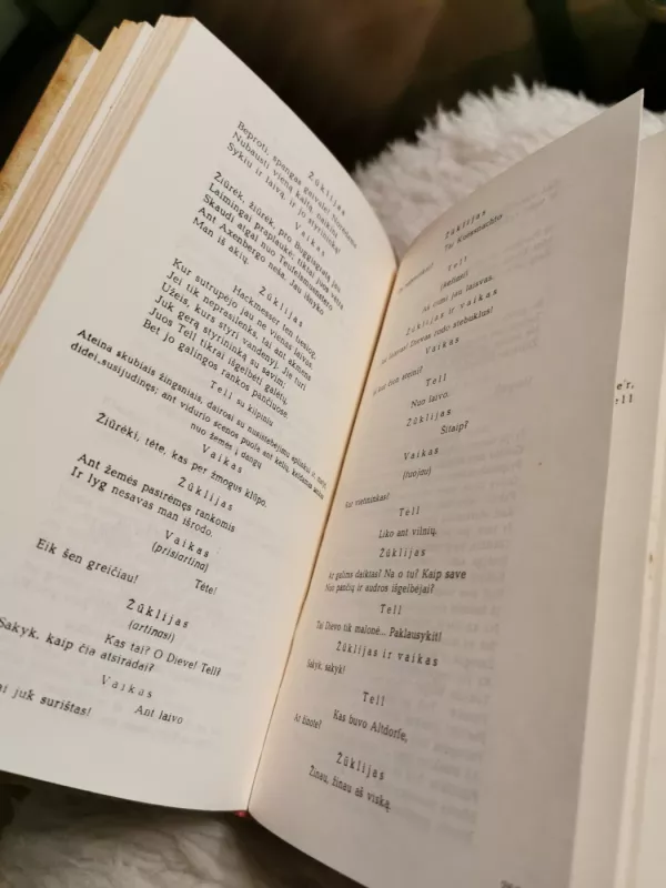 Raštai (II tomas) - Vincas Kudirka, knyga 5