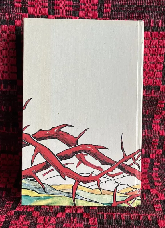 Triumfo arka - Erichas Marija Remarkas, knyga 4