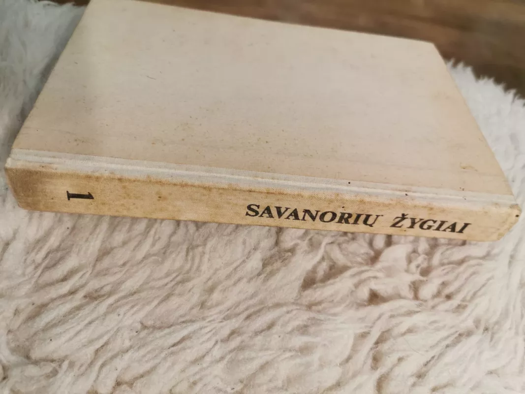 Savanorių žygiai (I knyga) - Petras Ruseckas, knyga 3