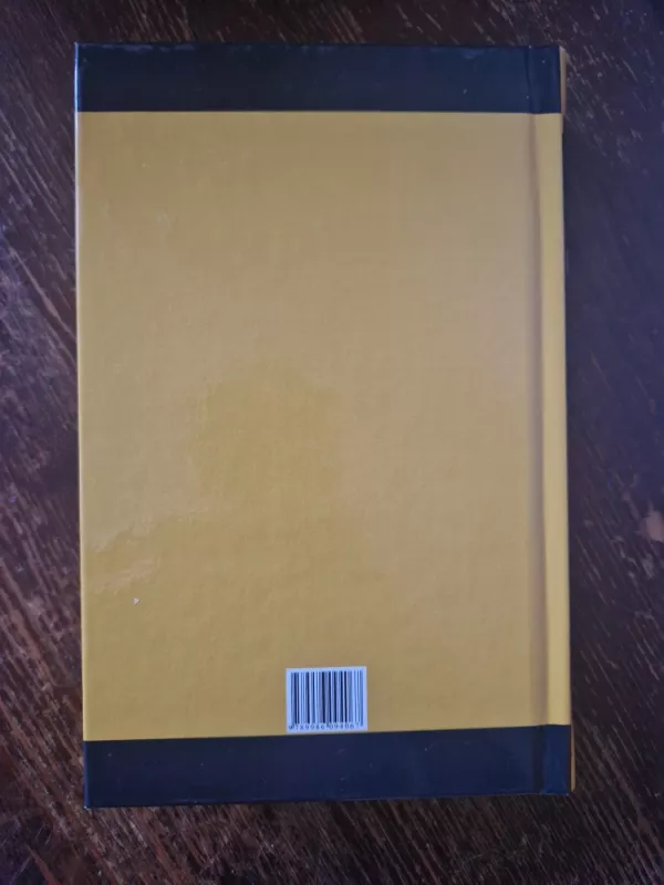 Apysakos I - Fiodoras Dostojevskis, knyga 3