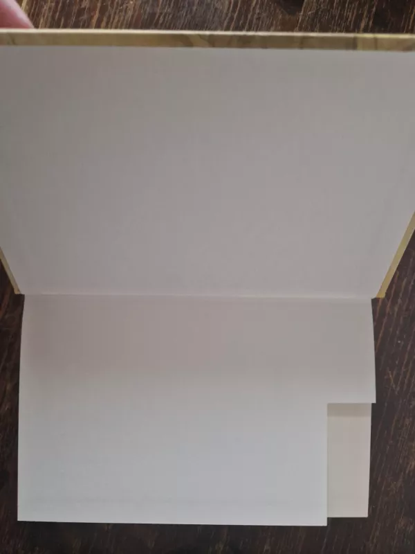 Apysakos I - Fiodoras Dostojevskis, knyga 6