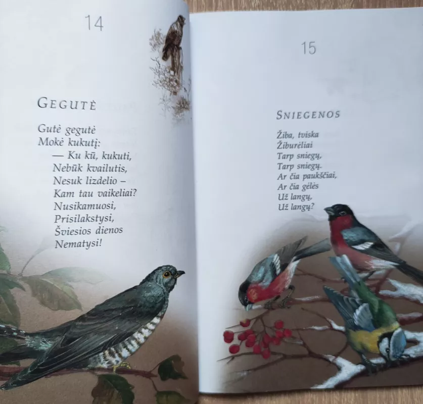 Šiaušia kuodą jerubė - Česlovas Navakauskas, knyga 4