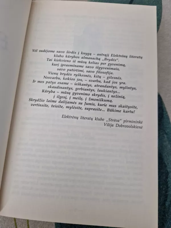 Brydės Elektrėnų literatų klubo Strėva kurybos almanachas - Autorių Kolektyvas, knyga 3