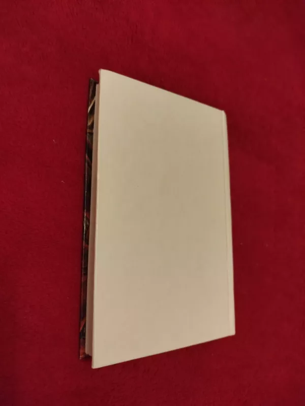 Aurelijus Augustinas Išpažinimai - Autorių Kolektyvas, knyga 6