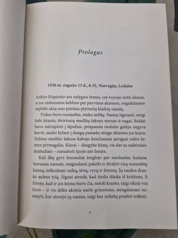 Kalėdų šviesos - Karen Swan, knyga 3