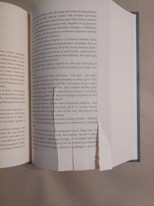 Altorių šešėly - Vincas Mykolaitis-Putinas, knyga 6