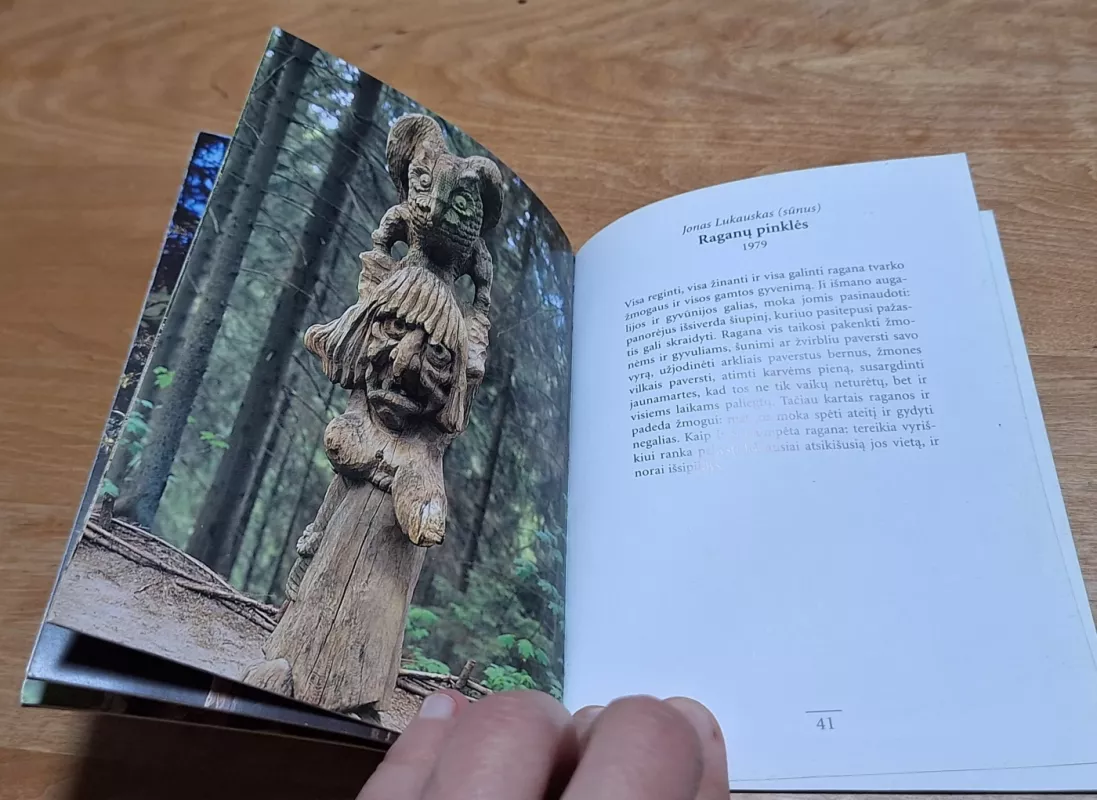 Raganų kalnas - Autorių Kolektyvas, knyga 4