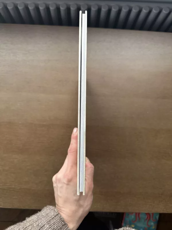 Kas yra upė? - Monika Vaicenavičienė, knyga 3