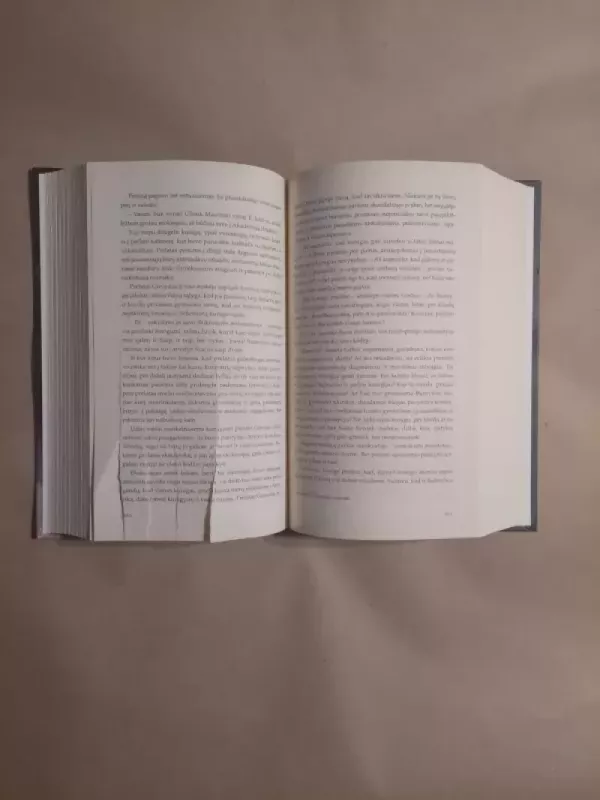 Altorių šešėly - Vincas Mykolaitis-Putinas, knyga 5