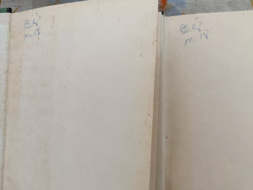 Lėlė (2 tomai) - Boleslovas Prūsas, knyga 3