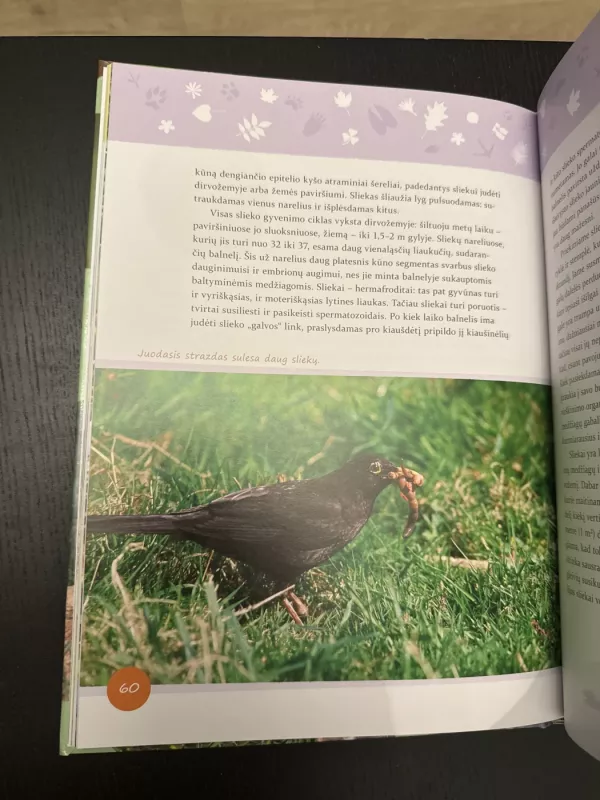 Mano šalies gamta - Selemonas Paltanavičius, knyga 4