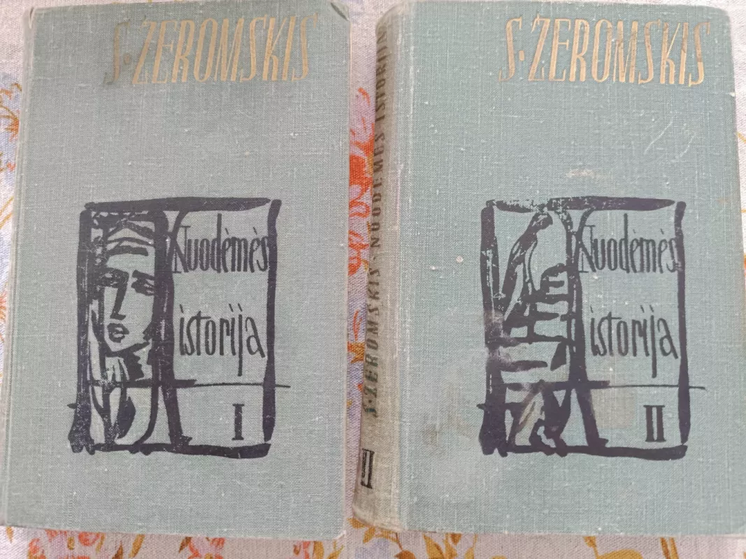 Nuodėmės istorija (2 tomai) - Stefanas Žeromskis, knyga 2