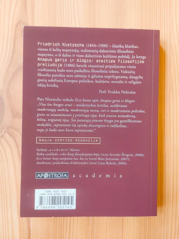 Anapus Gėrio ir Blogio - Friedrich Nietzsche, knyga 3