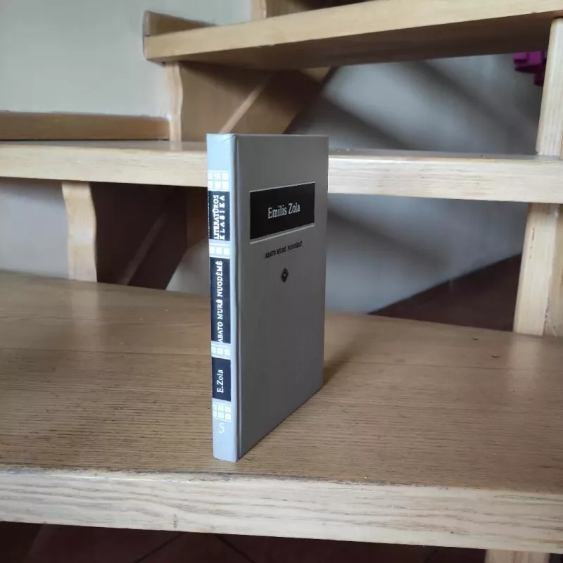 Abato Murė nuodėmė - Emilis Zola, knyga 4