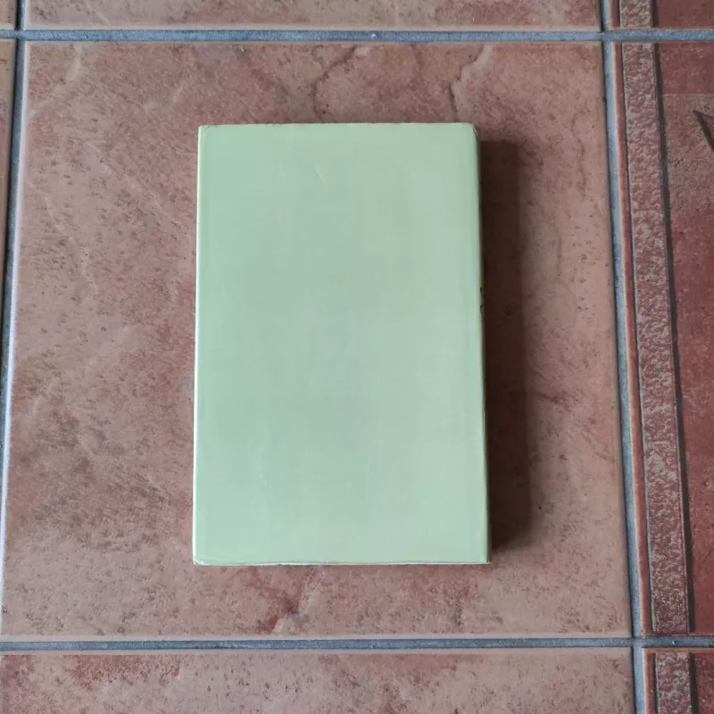 Laikinoji sostinė - Halina Korsakienė, knyga 4