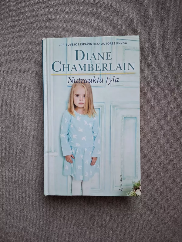 Nutraukta tyla - Diane Chamberlain, knyga 2