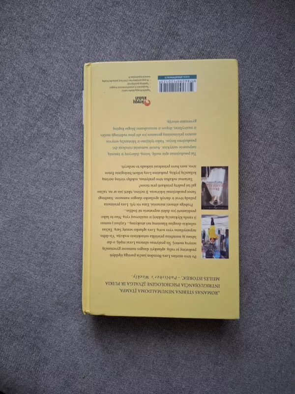 Nutraukta tyla - Diane Chamberlain, knyga 3