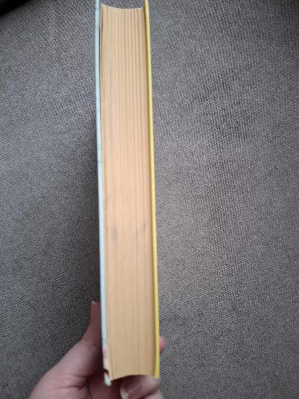 Nutraukta tyla - Diane Chamberlain, knyga 5