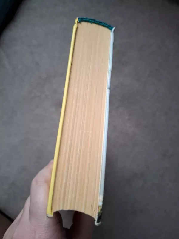 Nutraukta tyla - Diane Chamberlain, knyga 4