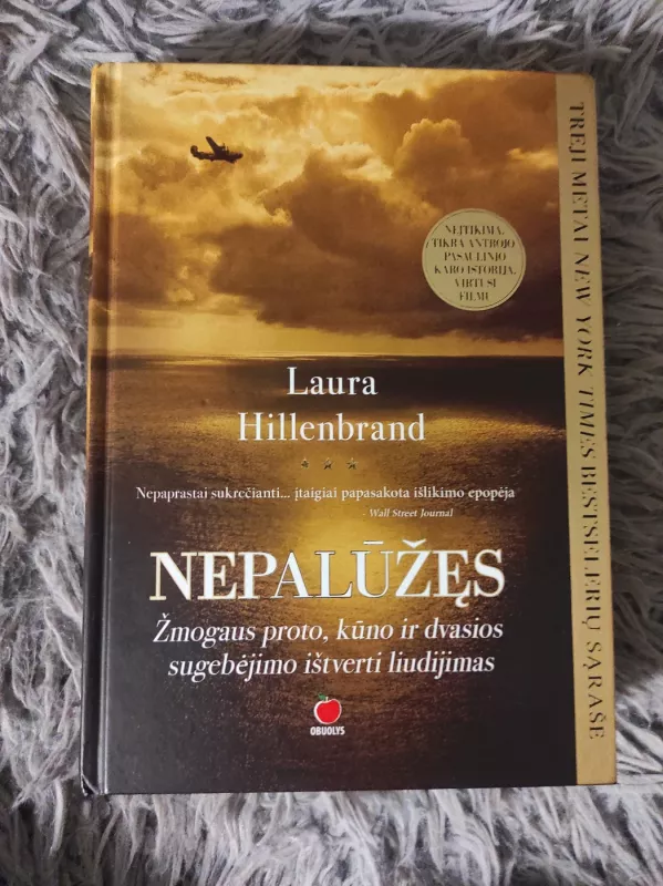 Nepalūžęs - Laura Hillenbrand, knyga 2