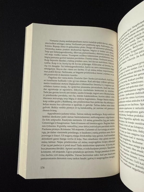 Mirties šokis Berlyne - Helmut Altner, knyga 6