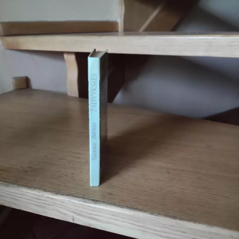 Žaltvykslės - Vytautas Bubnys, knyga 4