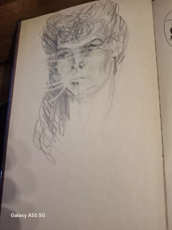 Kantrybės akmuo - Autorių Kolektyvas, knyga 3