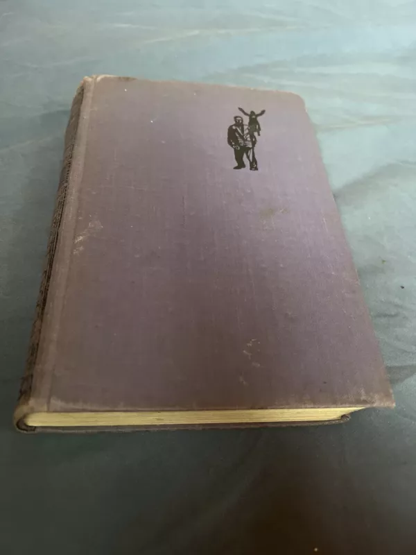 Priemiesčio žmonės - V. Petkevičius, knyga 2