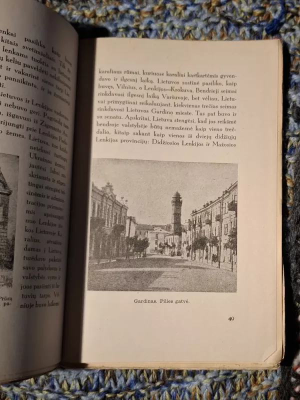 Vilniaus Byla 1323-1905 - Antanas Juška, knyga 4
