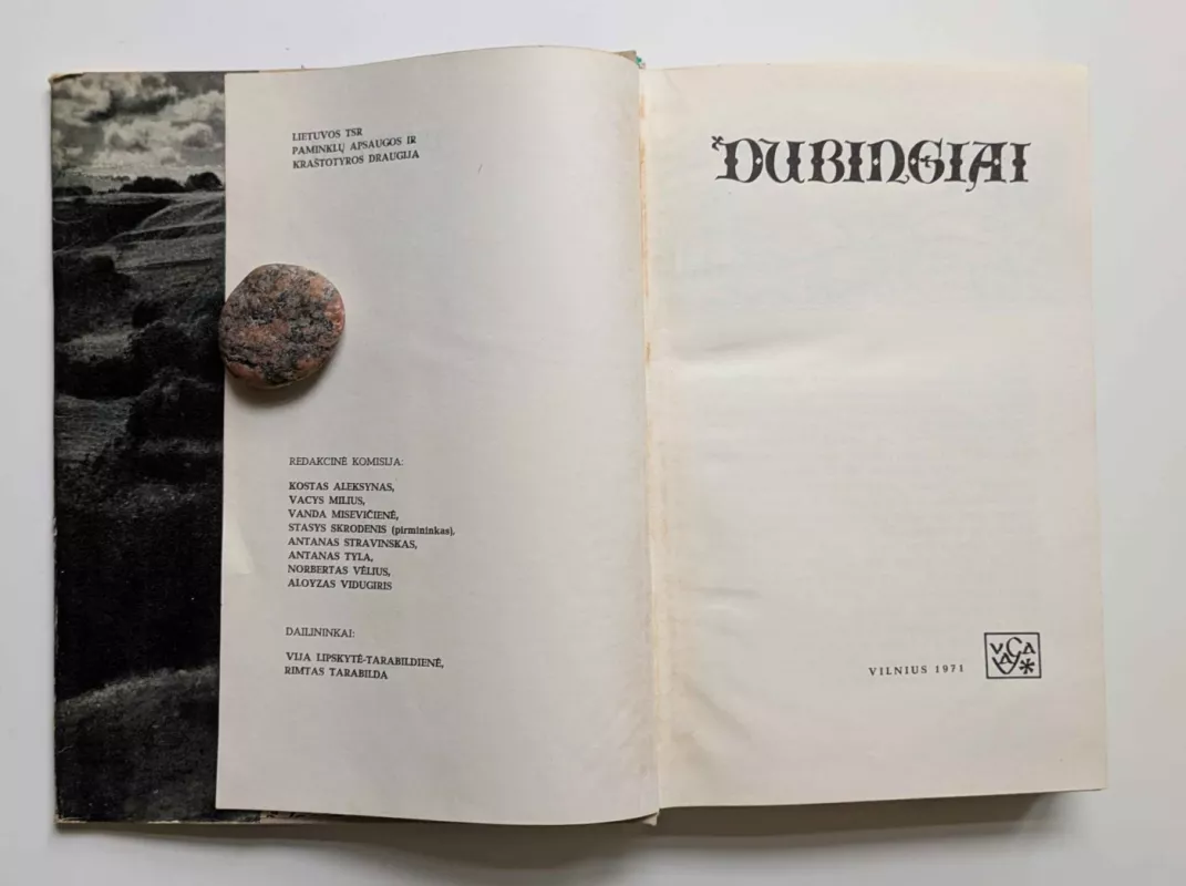 Dubingiai - Autorių Kolektyvas, knyga 4