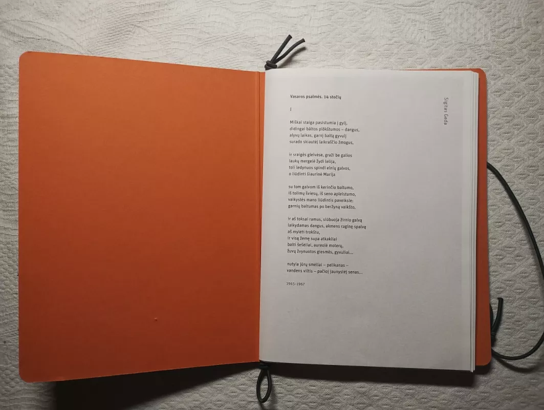 Gyvūnas, kuris, vadinuosi, (n)esu. Animal that I am (not) - Autorių kolektyvas (įvairūs), knyga 5