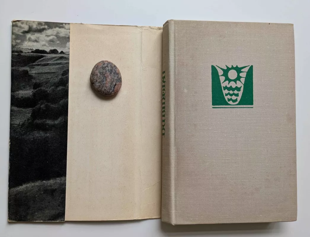 Dubingiai - Autorių Kolektyvas, knyga 3