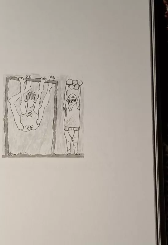 Visai nesuprantamų reiškinių stebėjimas - Arūnas Kavaliauskas, knyga 5