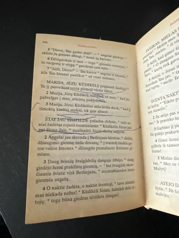 Liturginis maldynas - Autorių Kolektyvas, knyga 6