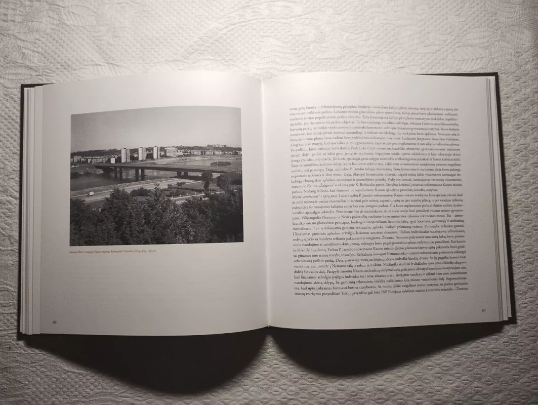 Petras ir Alfonsas JANULIAI - Vaida Almonaitytė-Navickienė, knyga 3