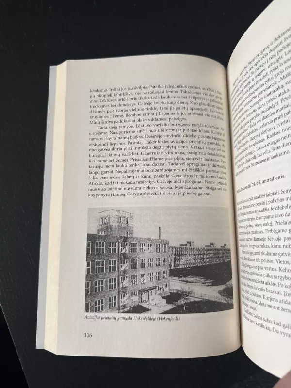 Mirties šokis Berlyne - Helmut Altner, knyga 5