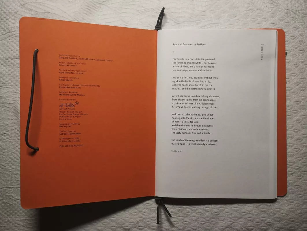 Gyvūnas, kuris, vadinuosi, (n)esu. Animal that I am (not) - Autorių kolektyvas (įvairūs), knyga 4