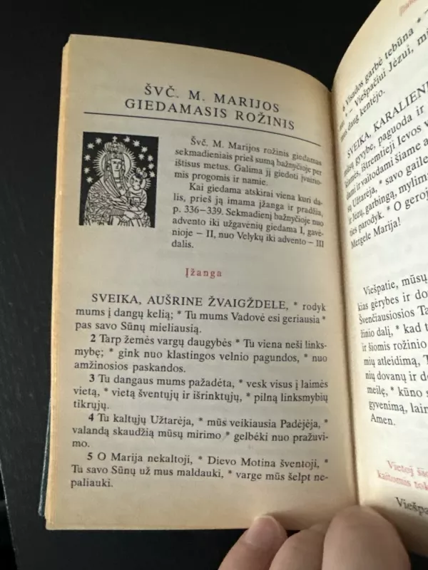 Liturginis maldynas - Autorių Kolektyvas, knyga 4