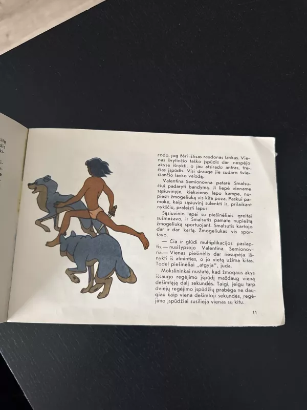 Gyvieji piešiniai - Vytautas Mikalauskas, knyga 4