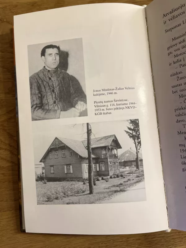 Ūžė žalia giria - Viktoras Alekna, knyga 6