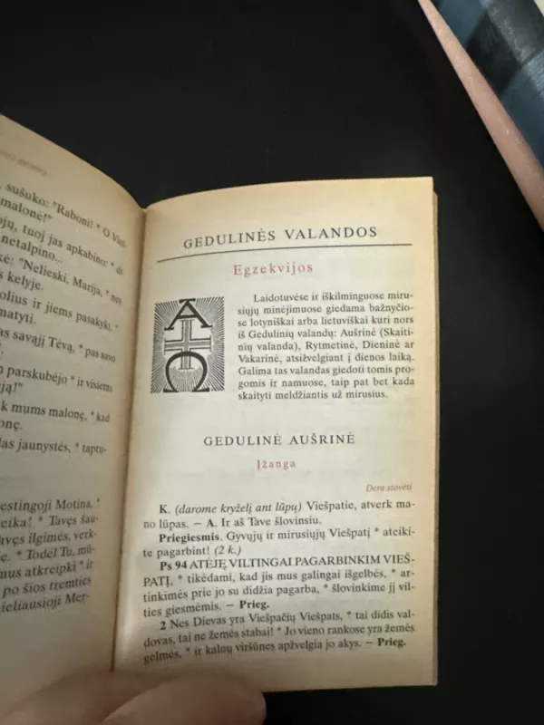 Liturginis maldynas - Autorių Kolektyvas, knyga 5