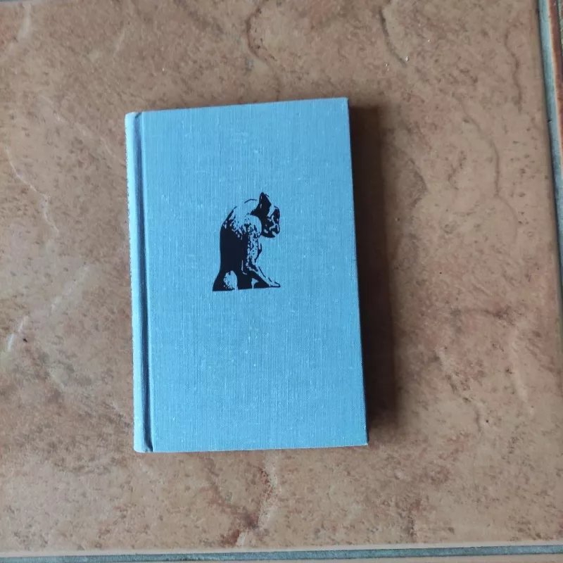 Susitikimas su Prancūzija - M. Kaniauskas, knyga 2