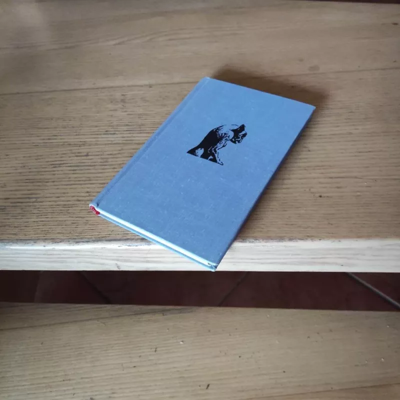 Susitikimas su Prancūzija - M. Kaniauskas, knyga 4