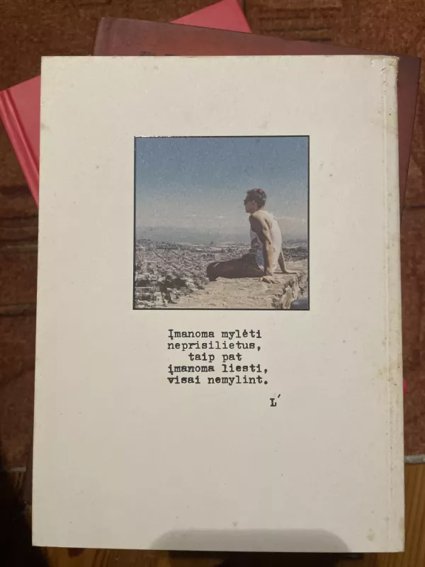 Žibėjusi žvaigždė - Linas Šapoka, knyga 3