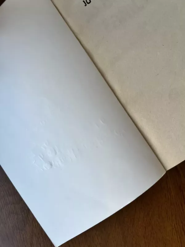 Jo Didenybė paniuręs - Žeraras de Viljė. Simenonas Žoržas, knyga 3