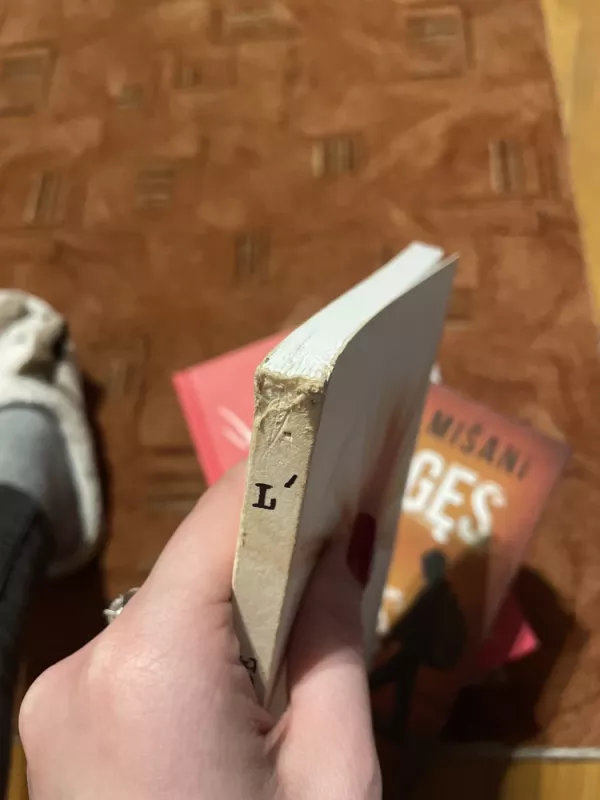 Žibėjusi žvaigždė - Linas Šapoka, knyga 6